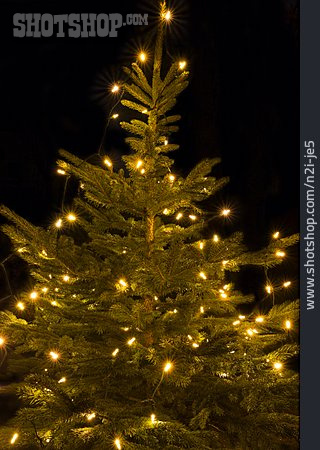 
                Tanne, Weihnachtsbaum, Nordmanntanne                   