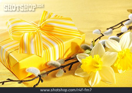 
                Ostern, Geschenk, Muttertag, Frühlingsblumen                   