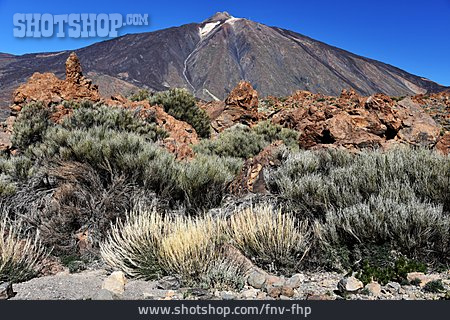 
                Vulkan, Pico Del Teide                   