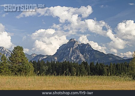 
                Schilf, Feuchtwiese, Allgäuer Alpen                   