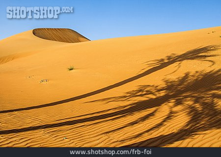 
                Wüste, Abu Dhabi                   