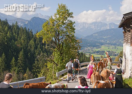 
                Folklore, Berchtesgaden, Almabtrieb                   