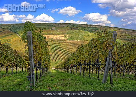 
                Ungarn, Weinbaugebiet, Villány                   