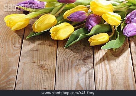 
                Tulpenstrauß, Frühling, Tulpen                   