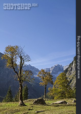 
                Karwendel, Großer Ahornboden                   