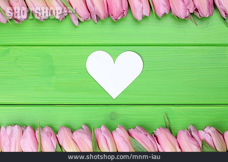 
                Liebe, Herz, Tulpenblüte                   
