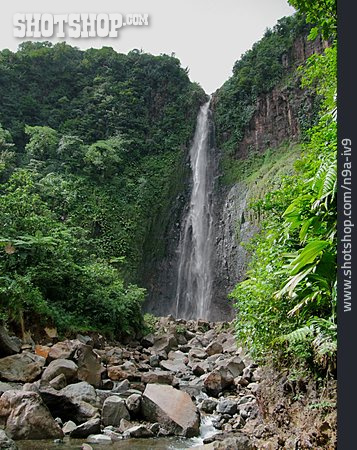 
                Wasserfall, Regenwald, Guadeloupe                   