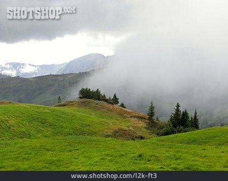 
                Landschaft, Vorarlberg, Nebelwand, Damüls                   