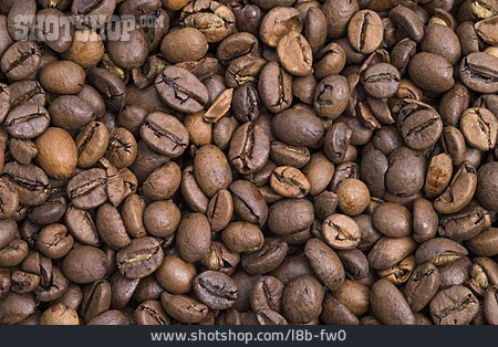 
                Kaffeebohnen, Arabica                   