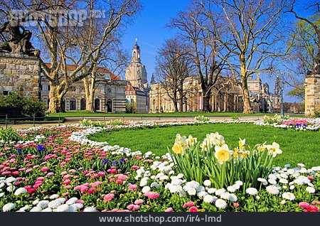 
                Park, Blumen, Dresden                   