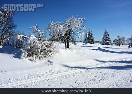 
                Winterlandschaft, Deutschland                   