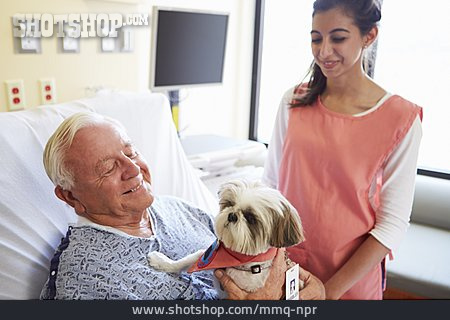 
                Krankenhausaufenthalt, Hundetherapie, Therapiehund                   