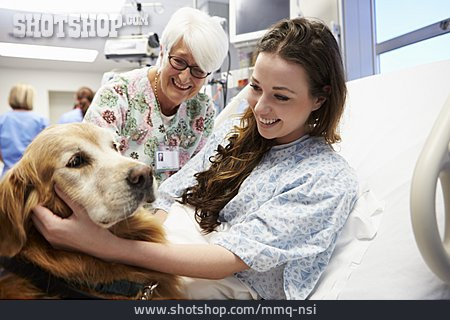 
                Mädchen, Krankenhaus, Hundetherapie, Therapiehund                   