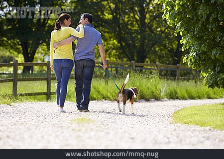 
                Couple, Leisure, Walk, Walk The Dog                   