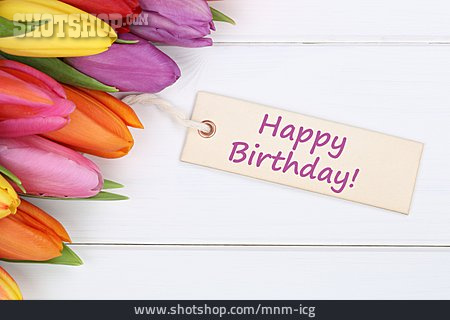 
                Geburtstag, Tulpen, Happy Birthday, Grußkarte                   