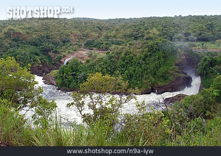 
                Uganda, Murchison Falls, Weißer Nil                   