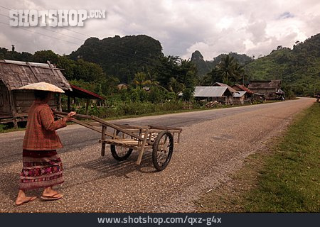 
                Traditionell, Schubkarre, Bäuerin, Laos                   