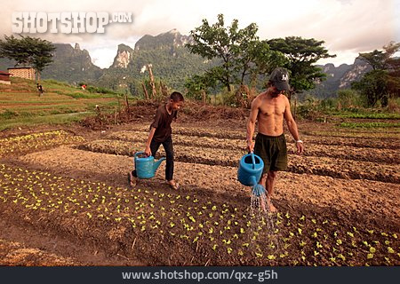 
                Landwirtschaft, Laos, Vang Vieng                   