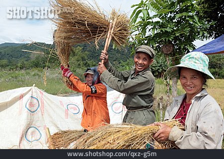 
                Reisanbau, Reisbauer, Laos                   