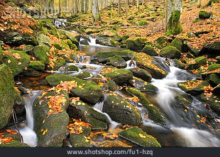 
                Wildbach, Gebirgsbach, Bayerischer Wald, Kleine Ohe                   