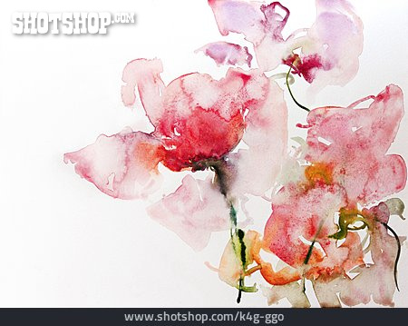 
                Wasserfarbe, Aquarell, Rosenblüte                   
