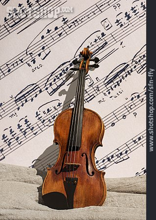 
                Geige, Violine, Streichinstrument                   