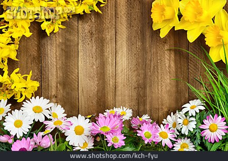 
                Frühlingsblumen, Rahmen, Holzuntergrund                   