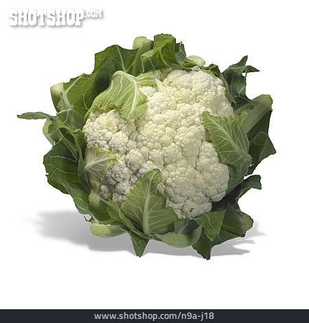 
                Blumenkohl                   