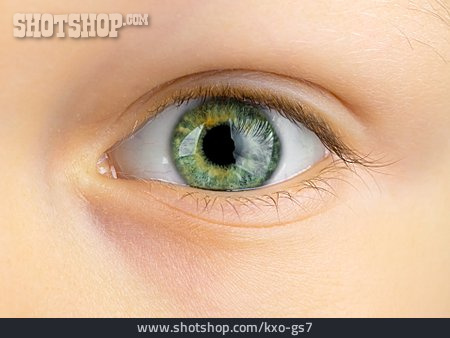
                Grüne Augen, Auge                   