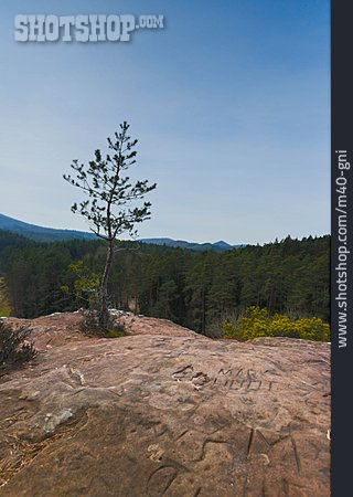 
                Sandstein, Rheinland-pfalz, Felsformation, Pfälzer Wald                   