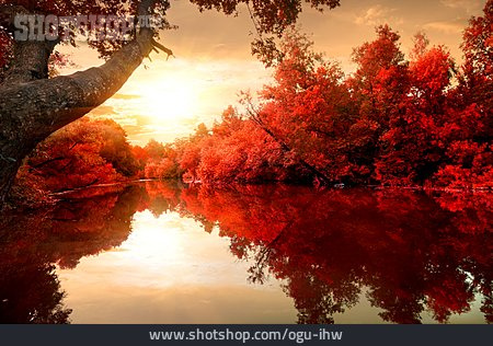
                See, Herbst, Herbstlandschaft                   