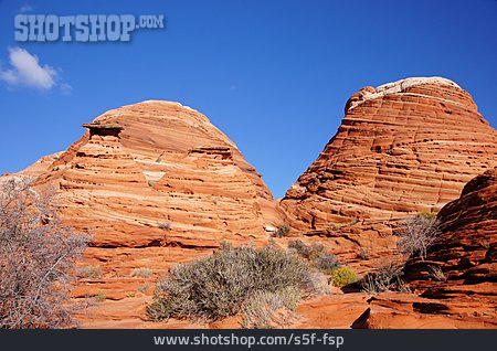 
                Versteinerung, Vermilion Cliffs National Monument, Colorado-plateau                   