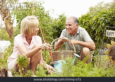 
                Senior, Paar, Garten, Gartenarbeit                   