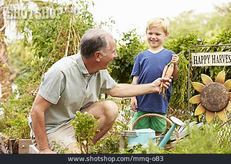 
                Enkel, Großvater, Garten, Gartenarbeit                   