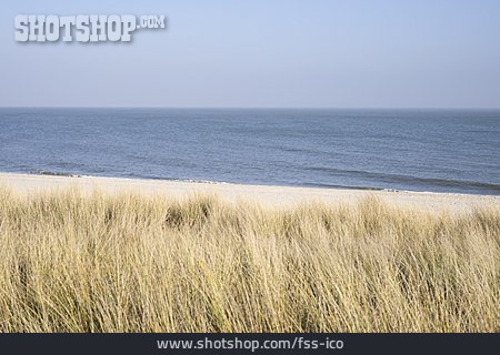
                Landschaft, Strand, Nordsee                   