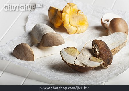 
                Champignon, Steinpilz, Pilze, Pfifferling, Kräuterseitling                   