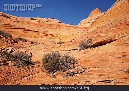 
                Sandstone, Rock Formation, Vermilion Cliffs National Monument                   