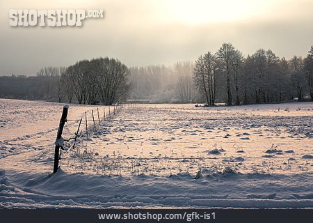
                Winter, Winter Landscape                   