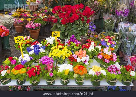 
                Blumen, Blumenstrauß, Sortiment, Sorten                   