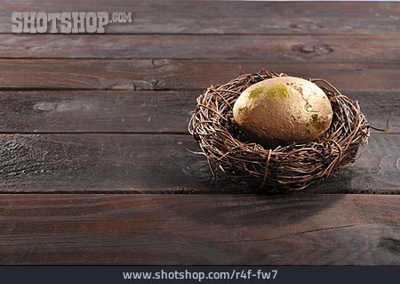 
                Nest, Goldenes Ei                   