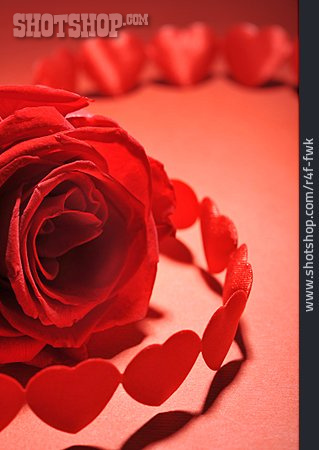 
                Valentinstag, Rote Rose, Herzen                   