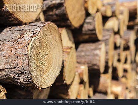 
                Holz, Baumstämme, Abgesägt                   
