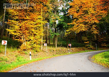
                Straße, Herbstwald, Kurve                   