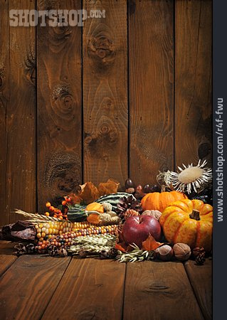 
                Kürbis, Granatapfel, Erntezeit, Herbstgemüse                   