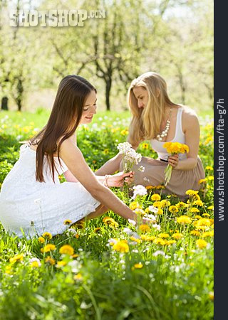 
                Junge Frau, Blumenstrauß, Frühlingswiese                   