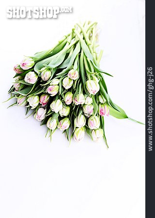 
                Blumenstrauß, Tulpenstrauß                   