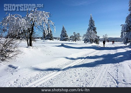 
                Winter Sport, Trail, Cross-country Skiing                   
