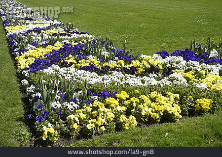 
                Schlosspark, Blumenbeet, Fulda, Gartengestaltung                   