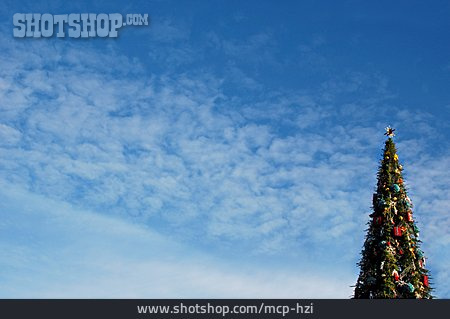 
                Weihnachtsbaum, Christbaum                   