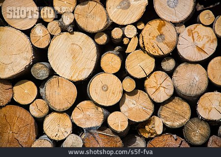 
                Holz, Forstwirtschaft                   